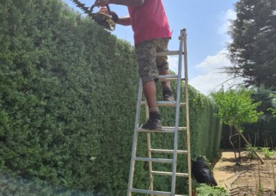 jardinería